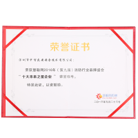 十大未來(lái)之星企業(yè)